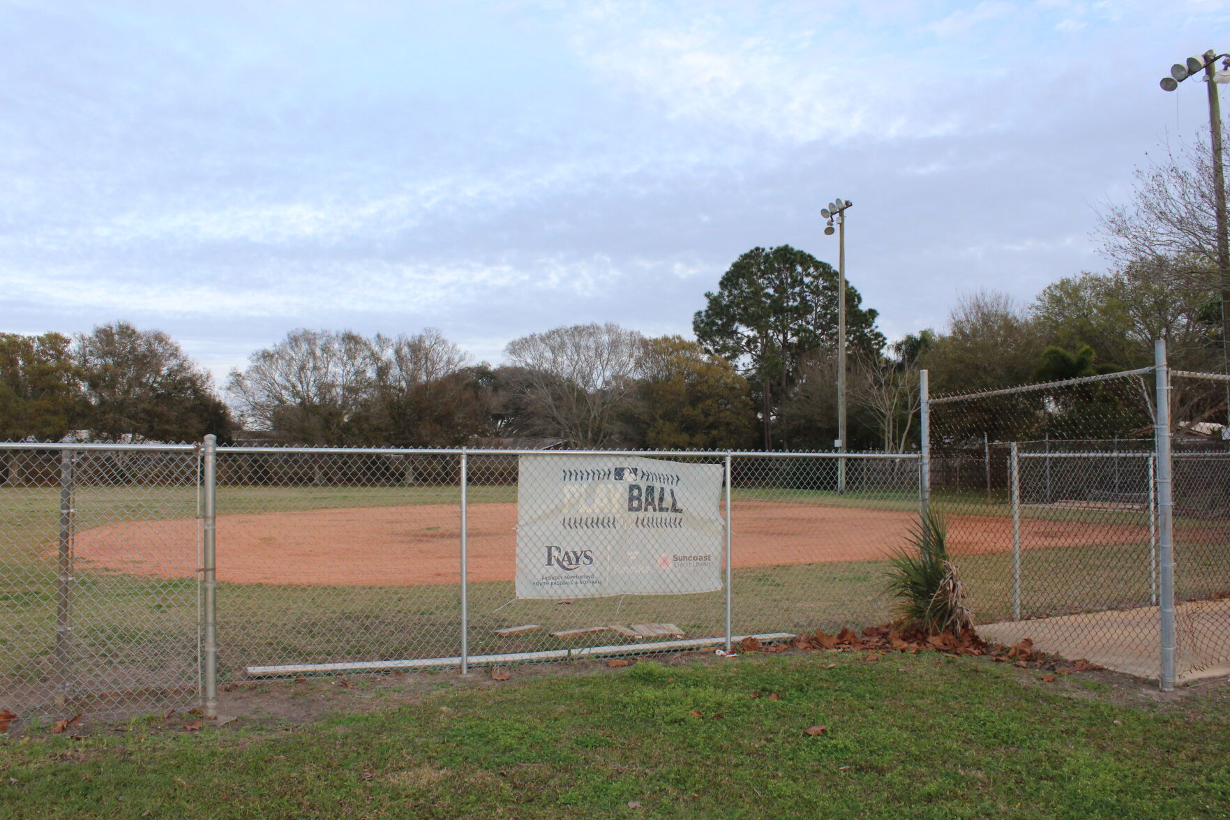 n-sem-fields1.JPG